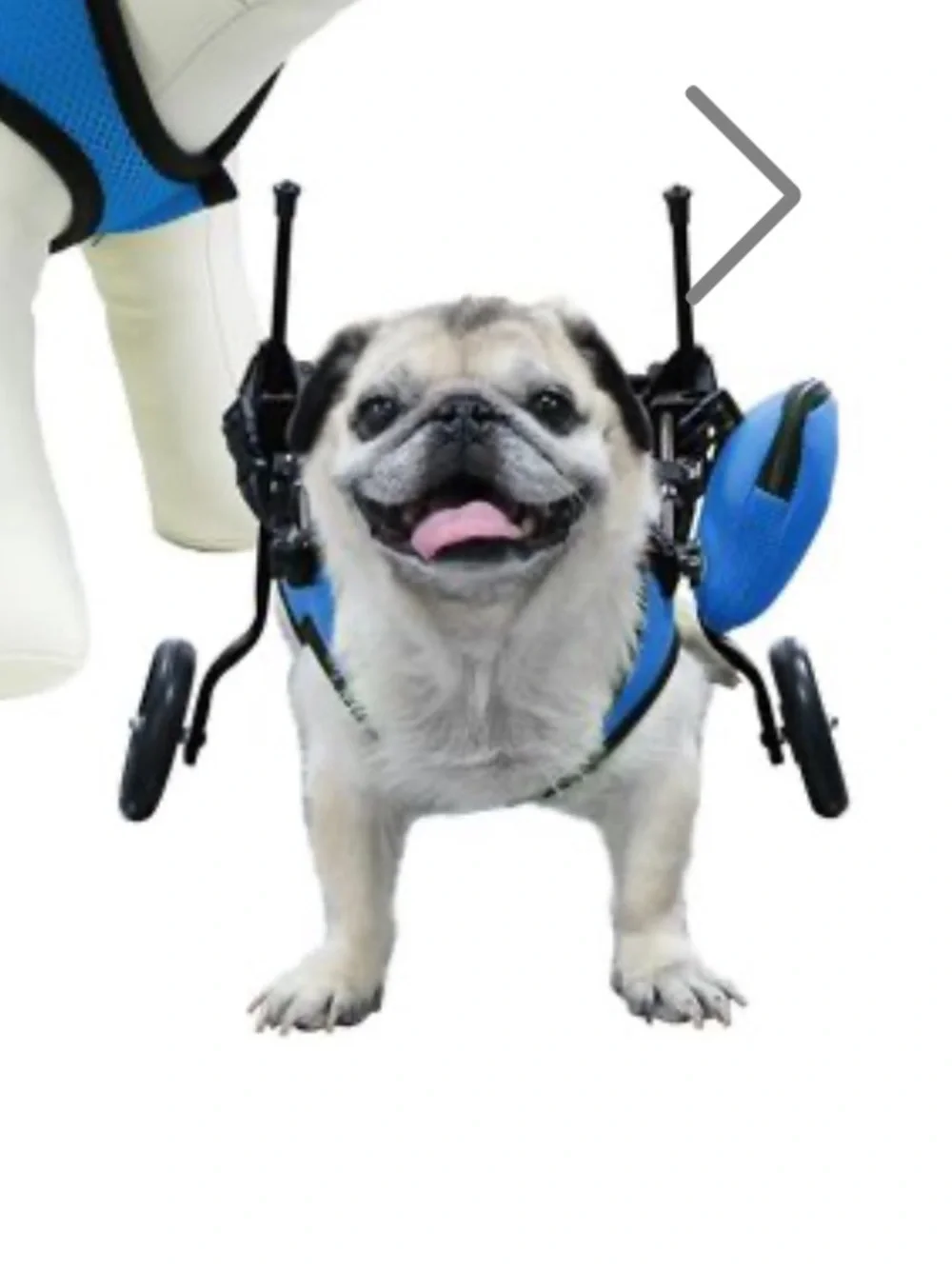 Adjustable Dog Wheelchair Harness S